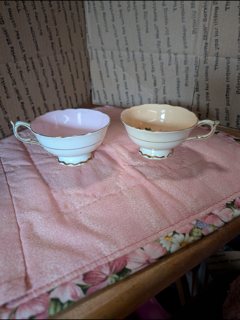 Porcelain Pink and Cream Tea Cups with Gold Trim - Set of 2
